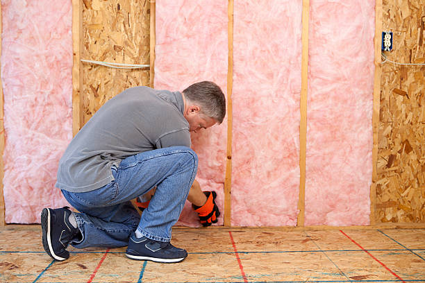 Best Basement Insulation  in South Miami Heights, FL