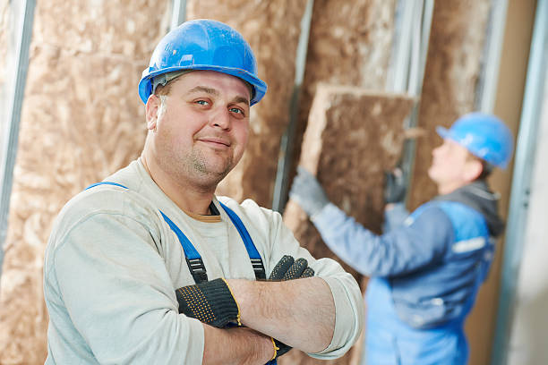 Best Blown-In Insulation  in South Miami Heights, FL